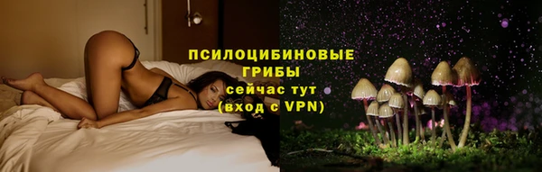 спайс Беломорск