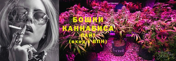 PSILOCYBIN Белокуриха