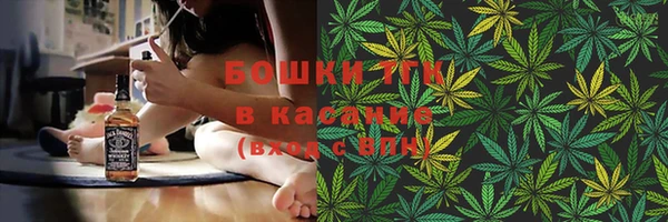 PSILOCYBIN Белокуриха