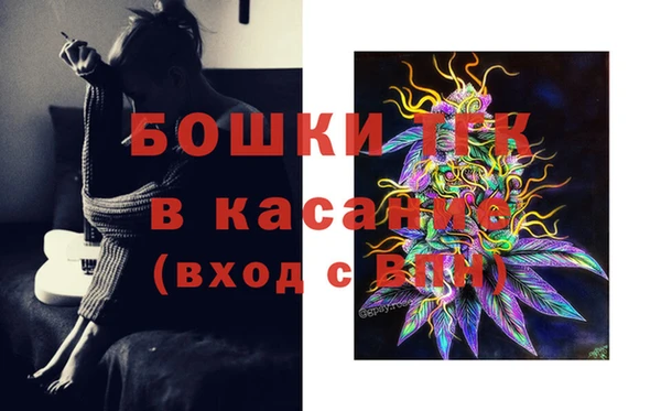 PSILOCYBIN Белокуриха