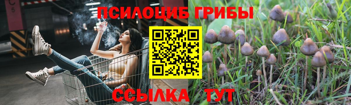Псилоцибиновые грибы ЛСД Лыткарино